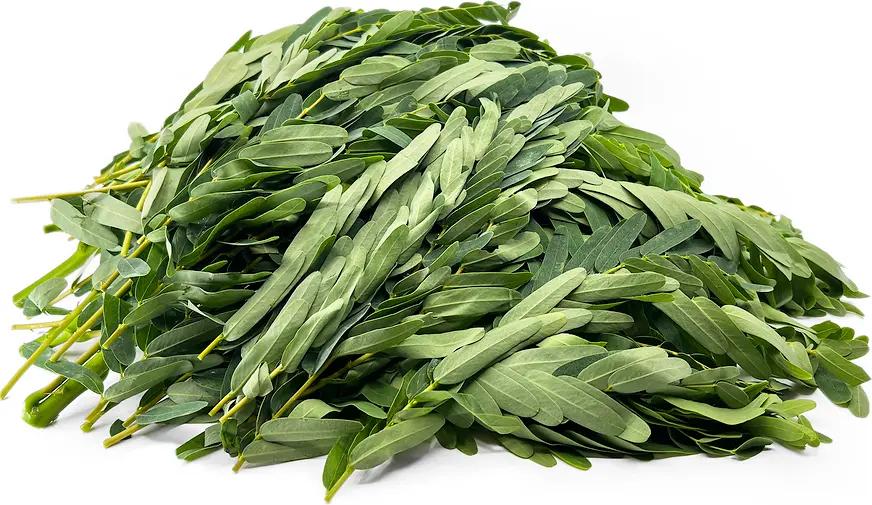 Spinach ( Agathi Keetai)