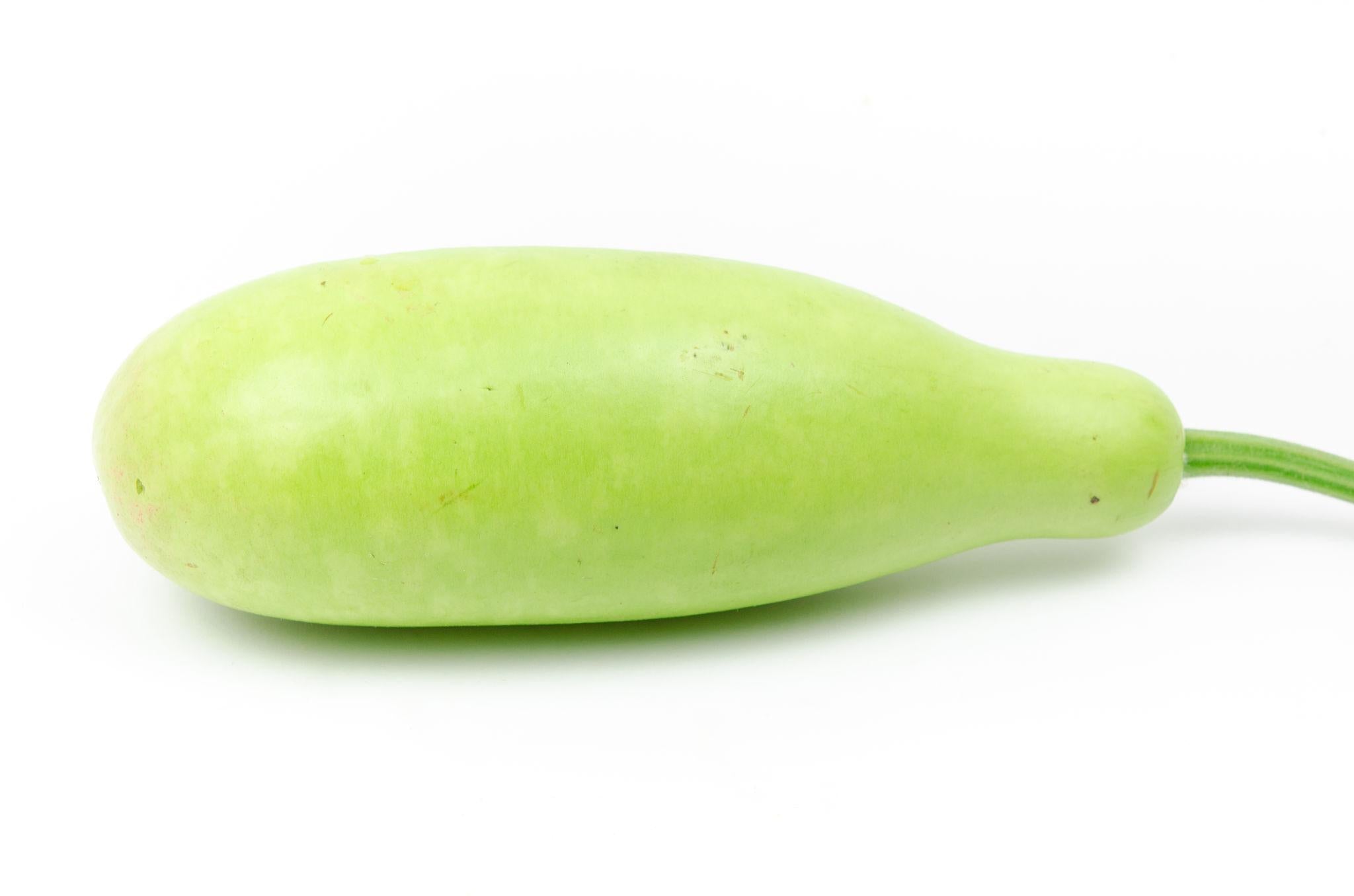 Bottle Gourd
