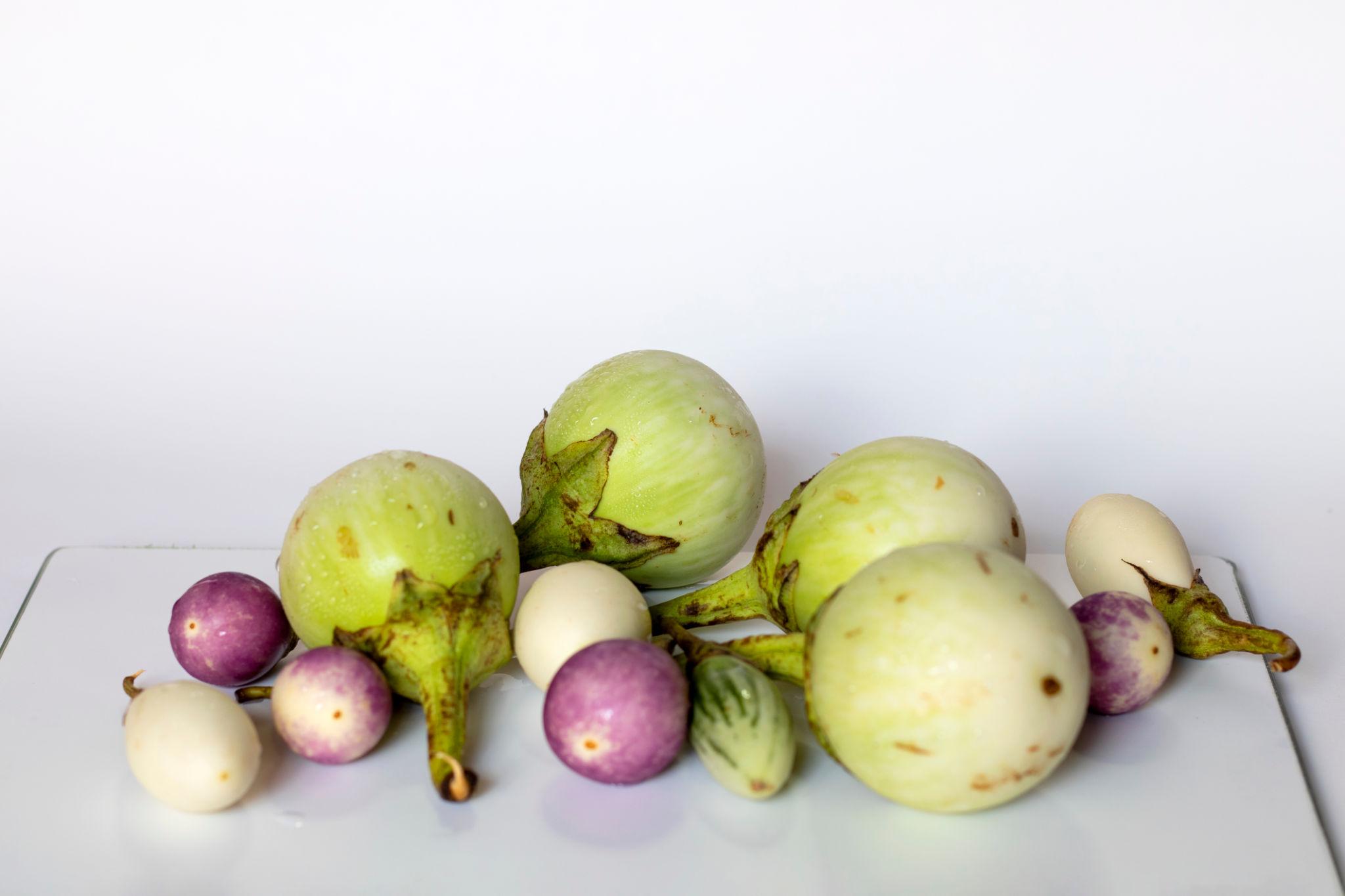 Brinjal White