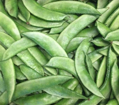 Broad Beans