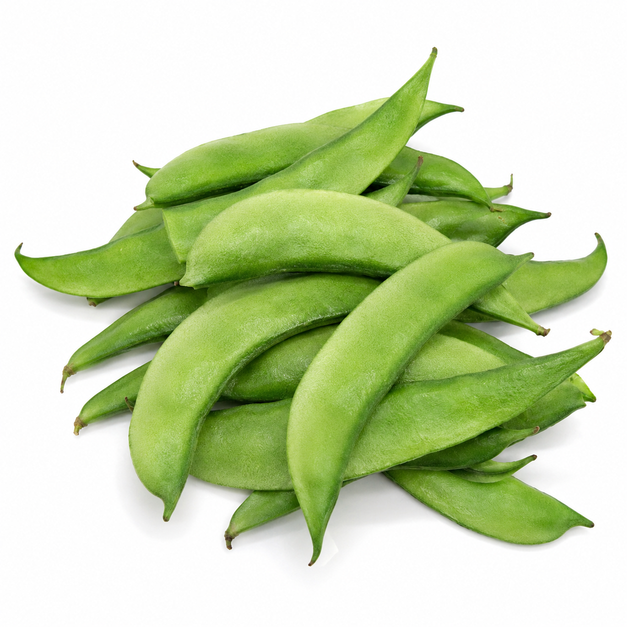 Broad Beans