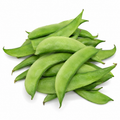 Broad Beans