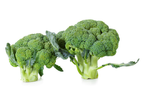 Broccoli