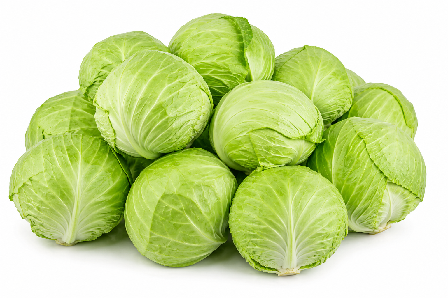 Cabbage