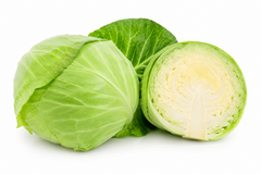 Cabbage