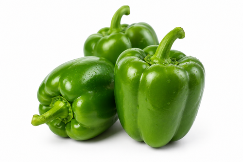 Capsicum
