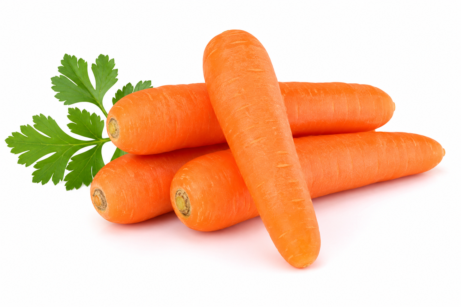 Carrot