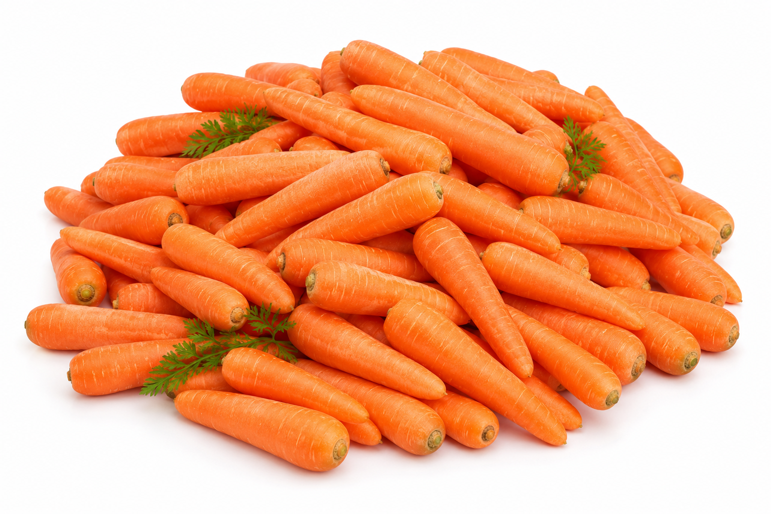 Carrot