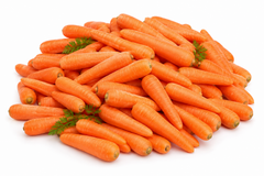 Carrot