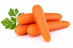 Carrot