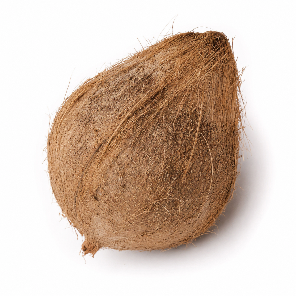 Coconut ( India)