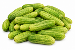 Cucumber