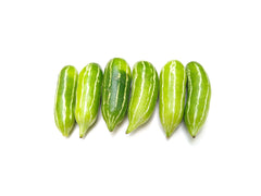 Ivy Gourd