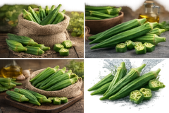 Ladies Finger (Okra)