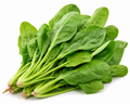 Spinach (Palak Keerai)
