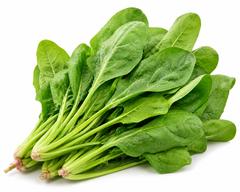 Spinach (Palak Keerai)