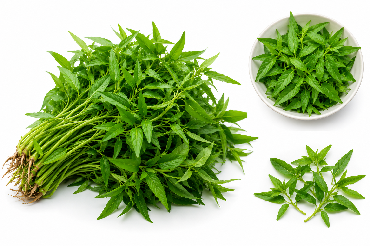Spinach ( Ponnan ganni Keerai)