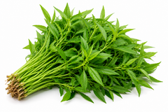 Spinach ( Ponnan ganni Keerai)