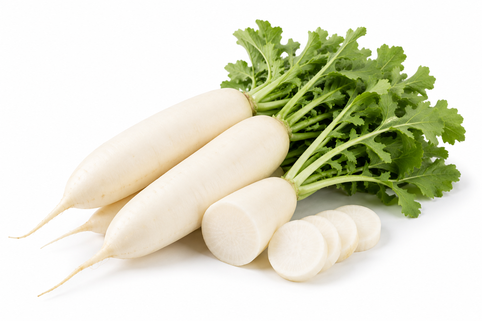 Radish