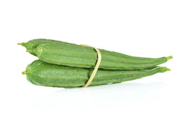 Ridge Gourd
