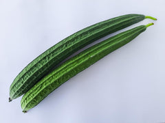 Ridge Gourd