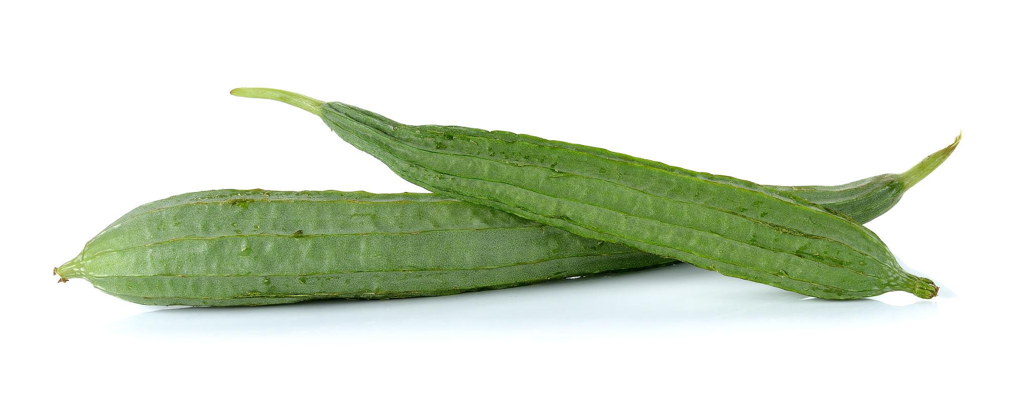 Ridge Gourd