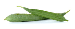 Ridge Gourd