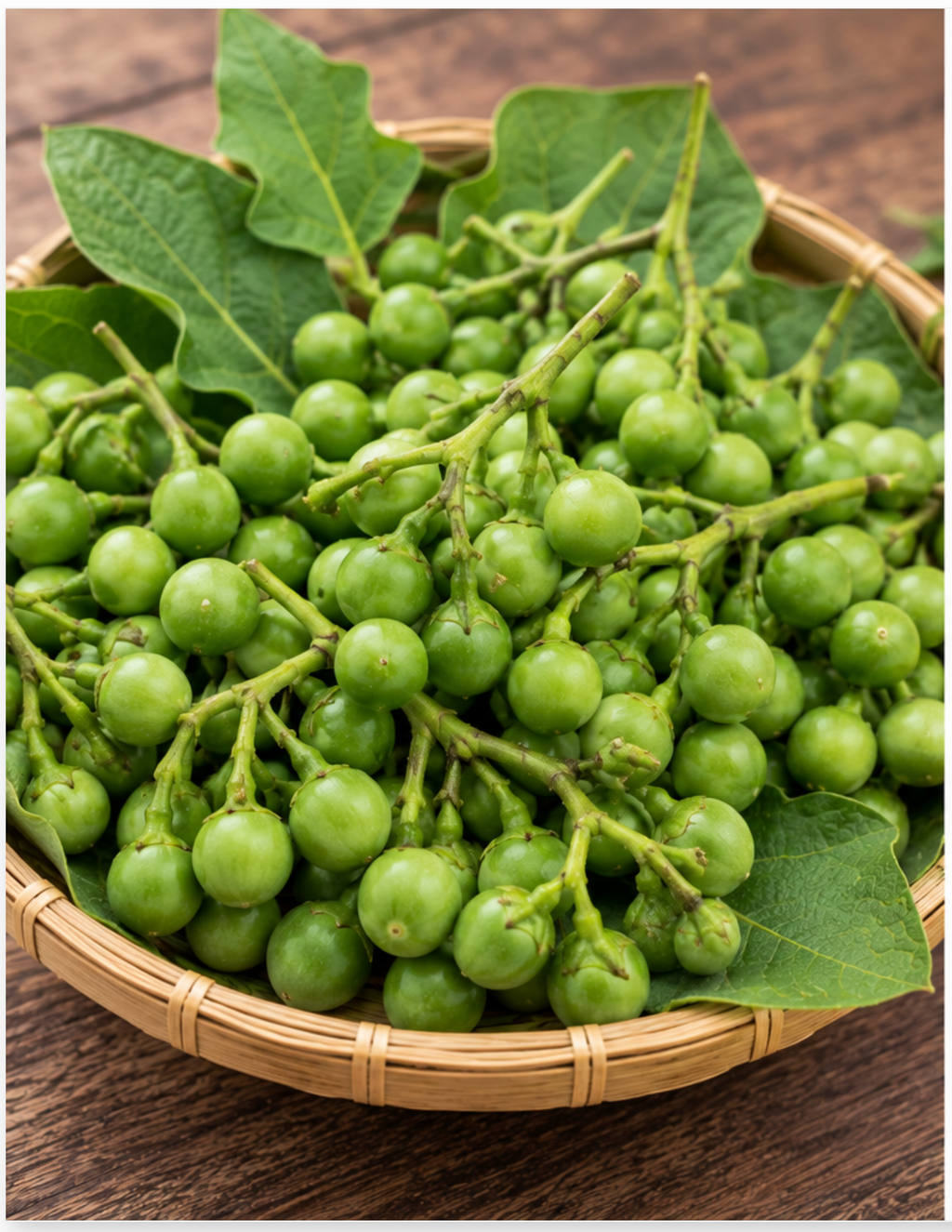 Fresh Sundakkai (Turkey Berry)