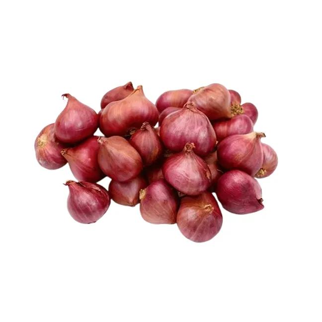 Small Onion