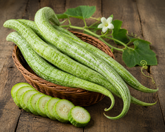 Snake Gourd