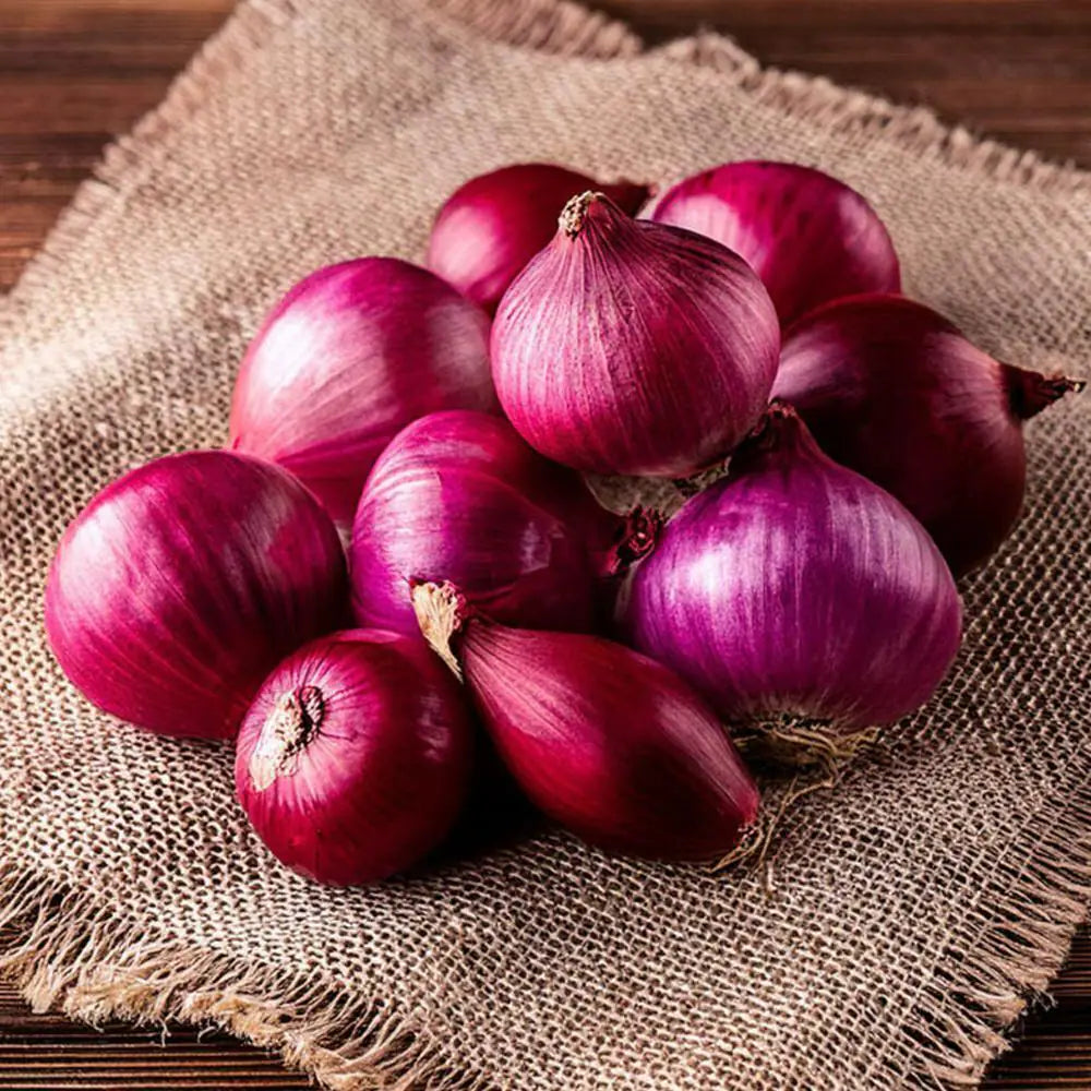 Onion Bag (Big)